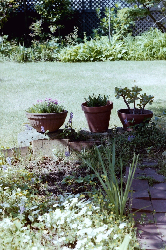PICT0003 s.JPG