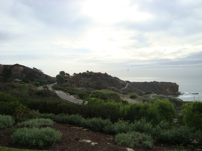 DSC03309.JPG
