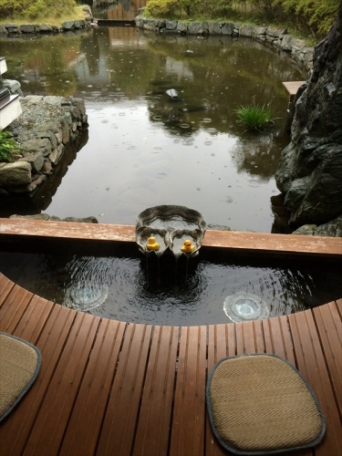 20141117 14501201.JPG