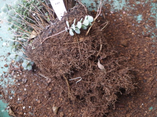 2015-06-05 15.47.47.jpg