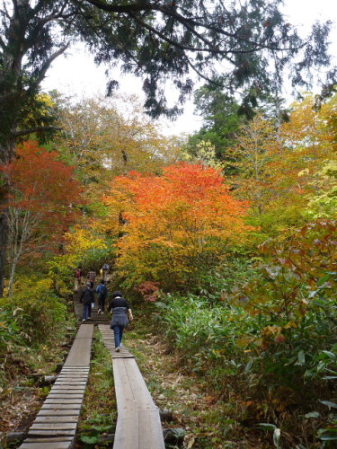 尾瀬満喫ツアー（健脚）2013101017.jpg