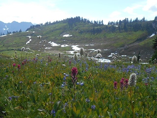 s-DSCN0959.jpg