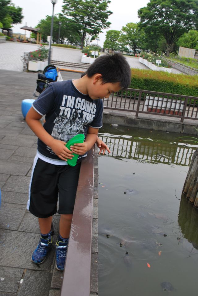 20160528403.jpg