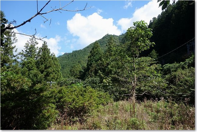 40こんな景色です