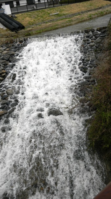024五ヶ谷川 Ｂ(V.2012_03_26__09_53_00).jpg