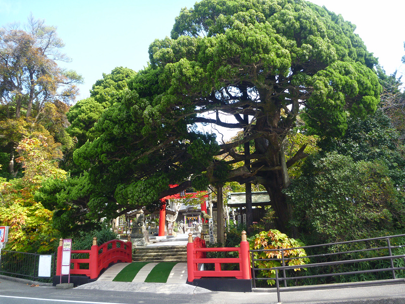 20141020 11162401.jpg