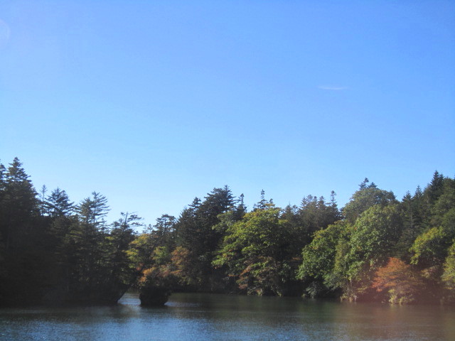 IMG_4317.jpg