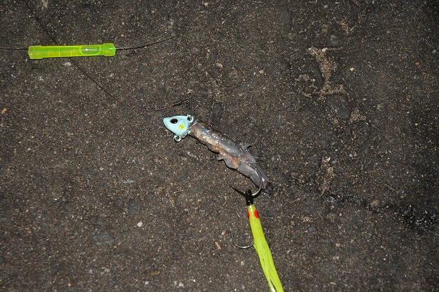 showPhoto (640×426)