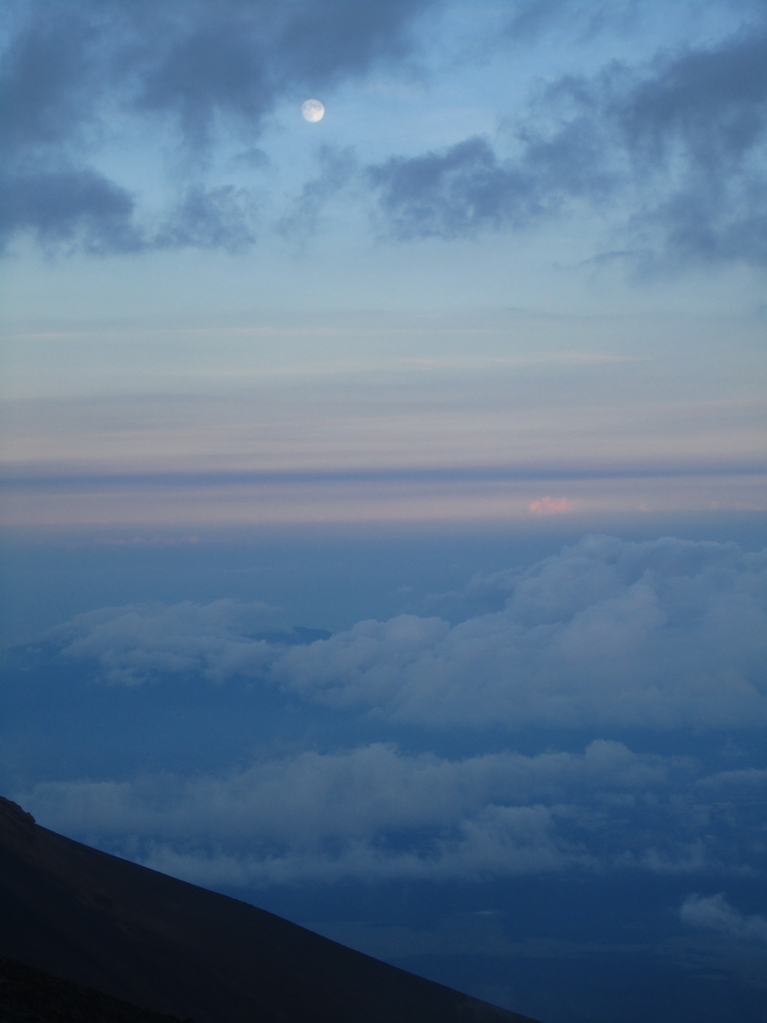 IMG_2245.jpg