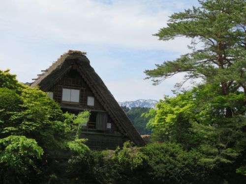 白川郷和田家 (1).jpg