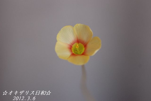 DSC_0172.JPG