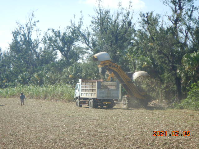 DSCN9973.JPG