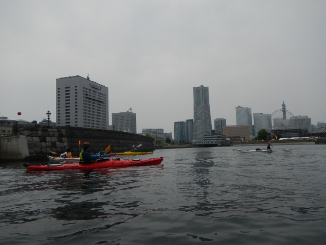 DSCN4979 (640x480).jpg