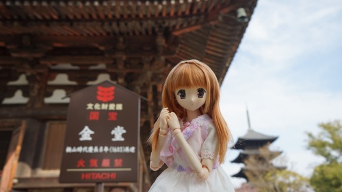 東寺　金堂　陽菜ちゃん.jpg