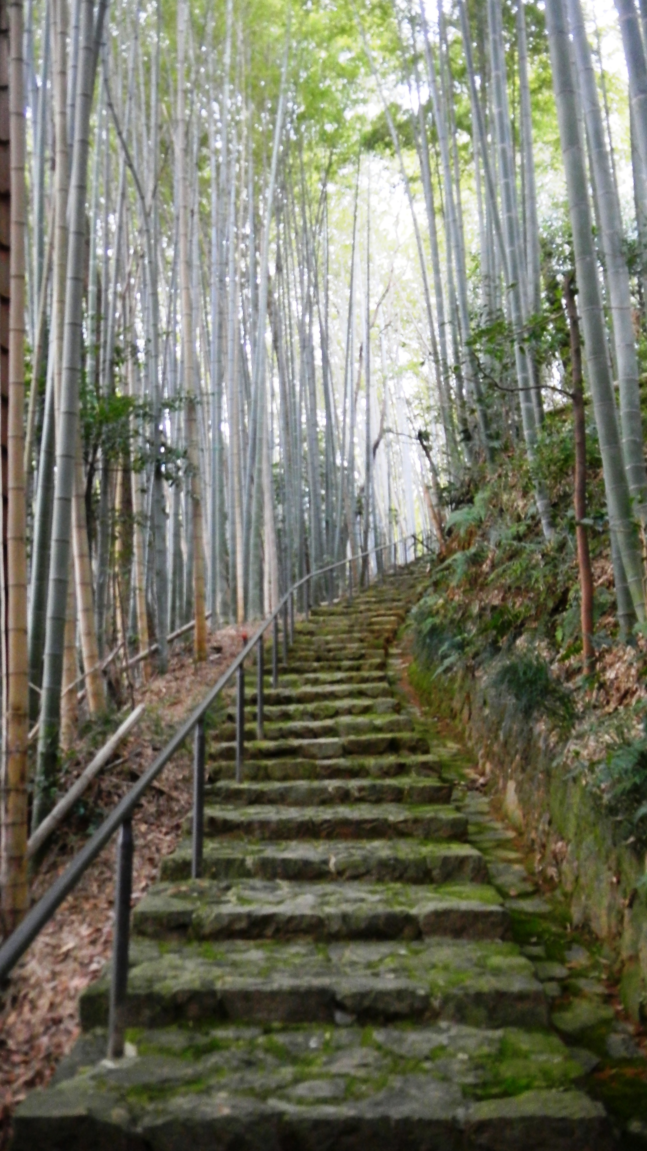 041高野新笠陵参道 (2).JPG