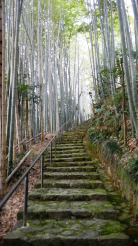 041高野新笠陵参道 (2).JPG