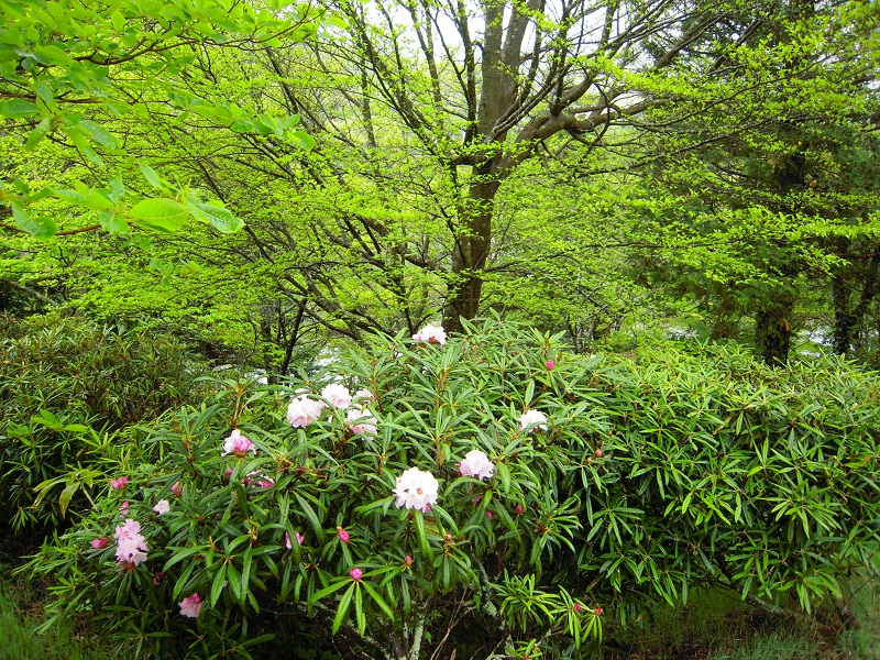DSCN6641.JPG