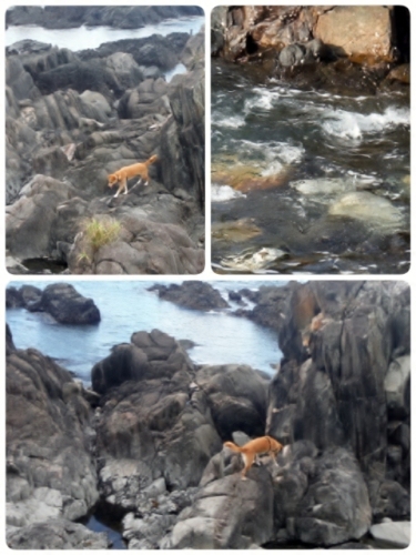 2014-08-17-15-33-26_deco (480x640).jpg