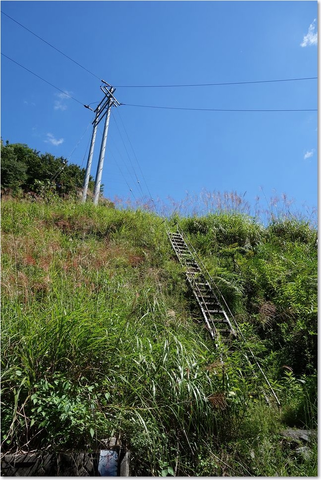 56梯子と電柱