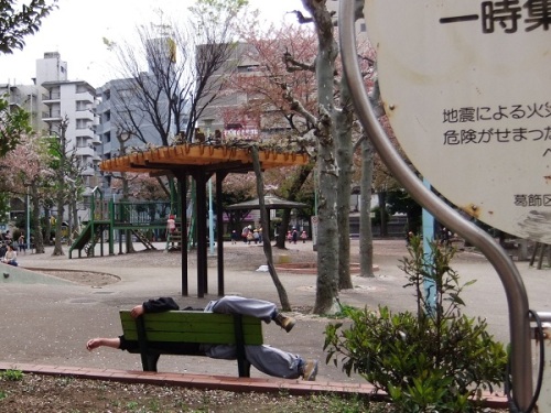 亀有公園２20120416.JPG