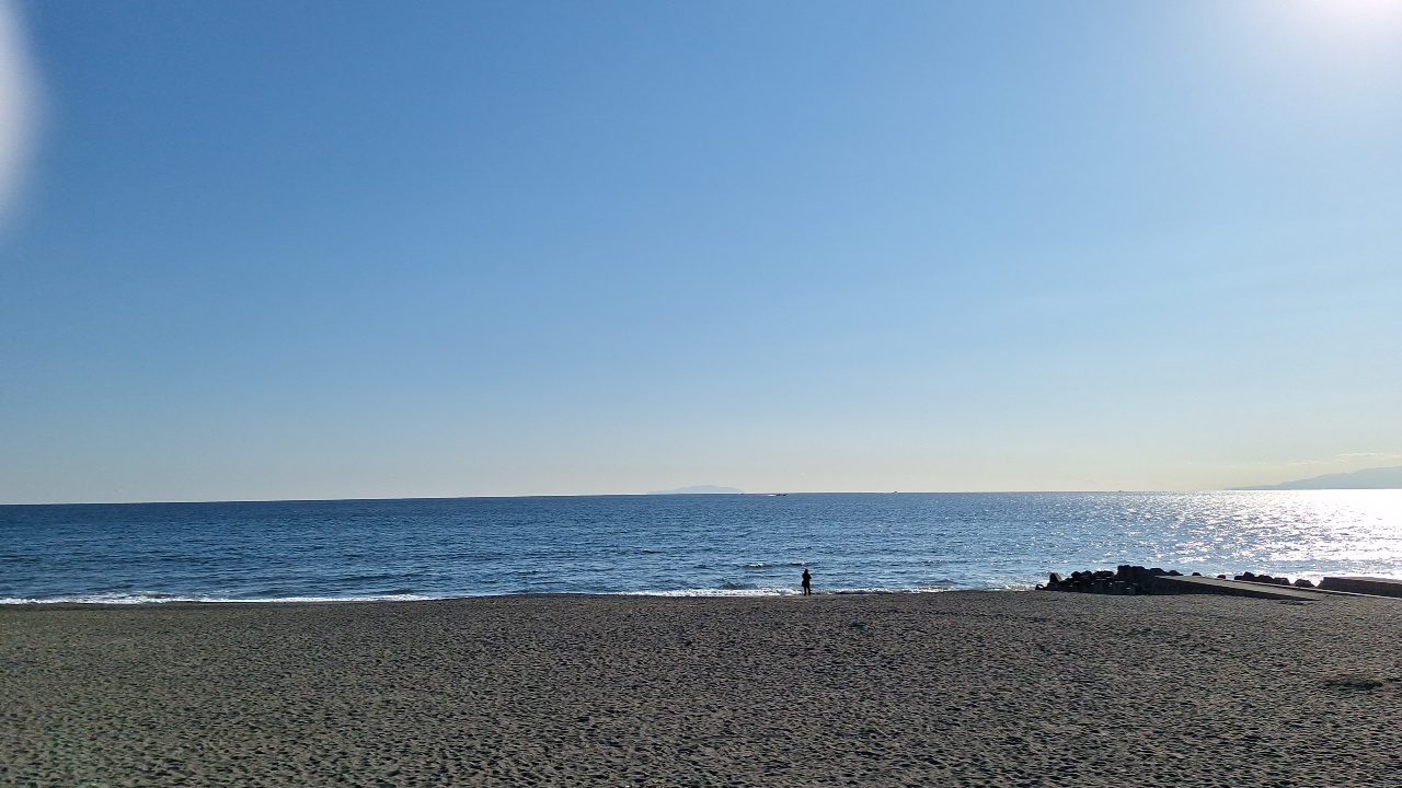 IMG_20240129_142523.jpg
