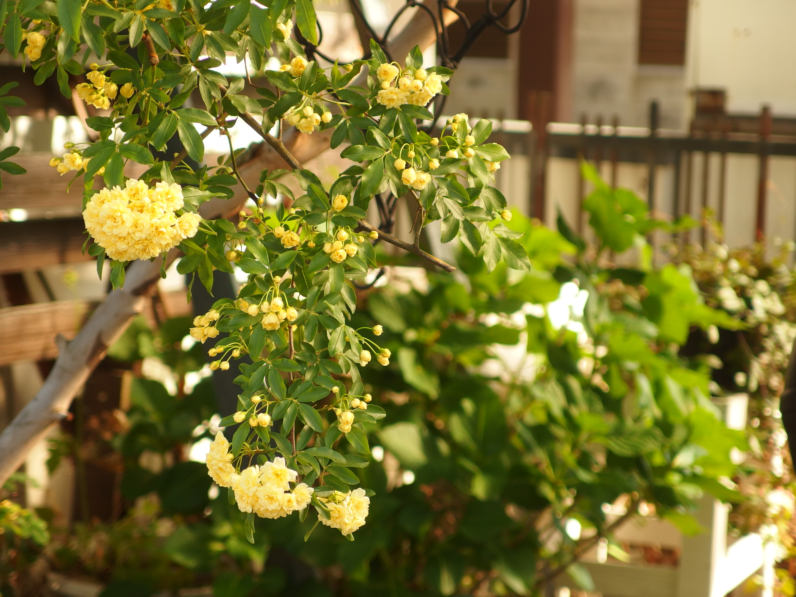 2015-05-01 14.57.01.jpg