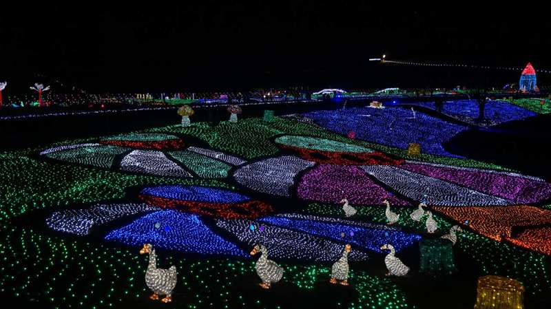 20141119 18254901.JPG