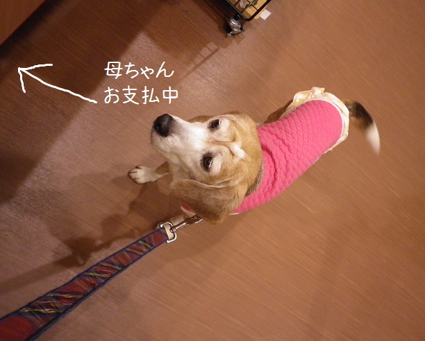IMGP4600.JPG
