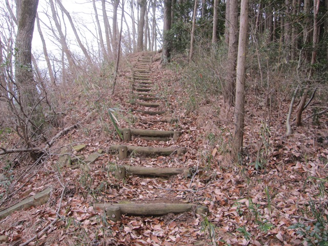 20150101-1.jpg