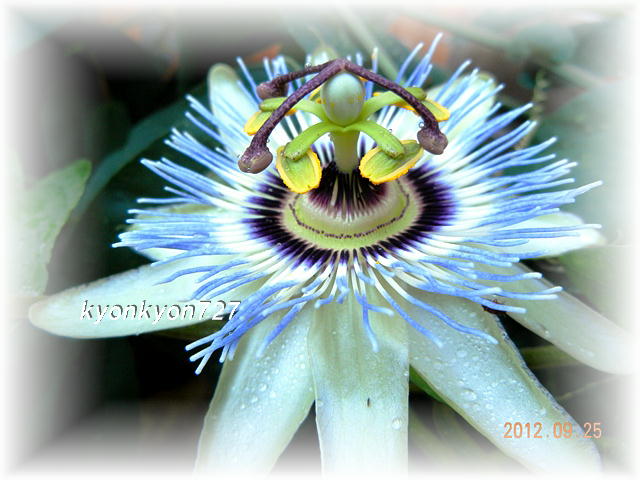 DSCN9062.jpg