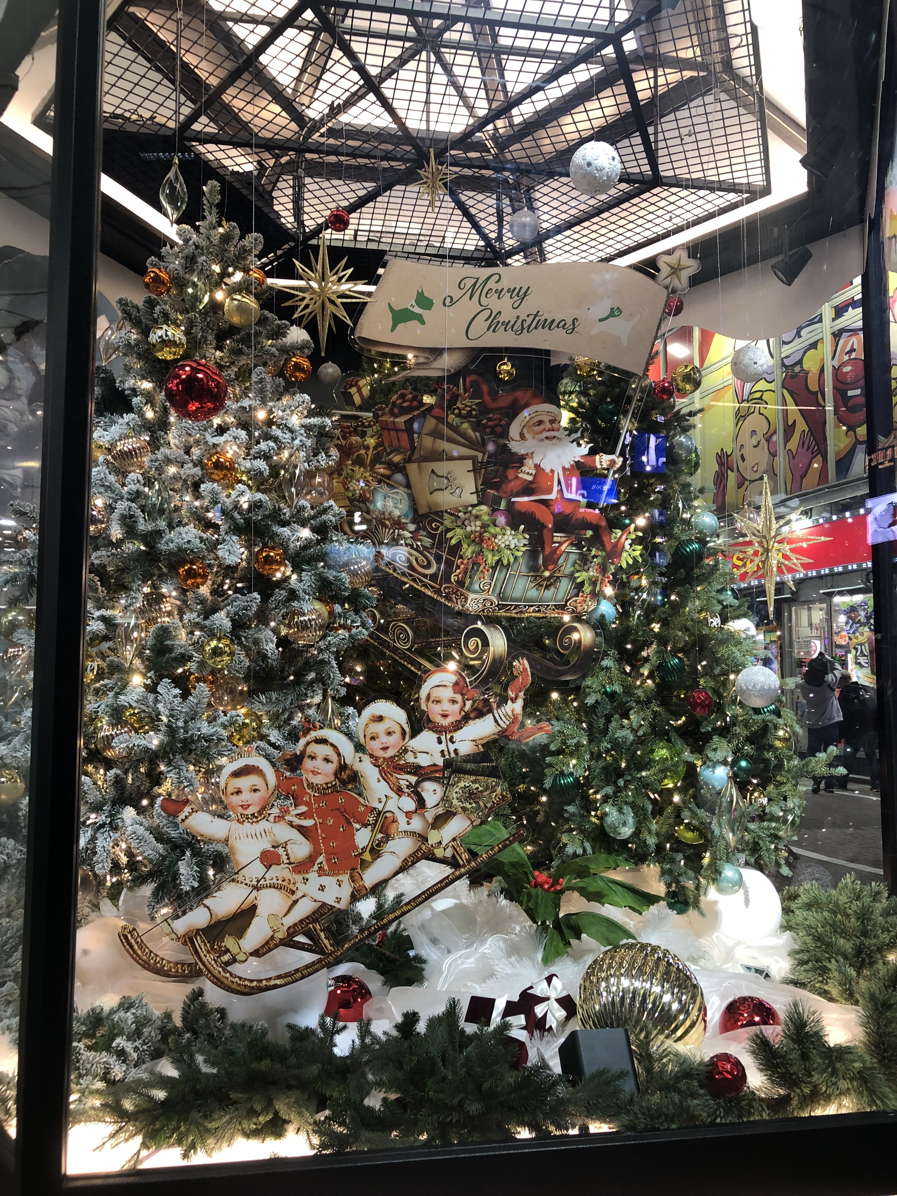 IMG_6505.jpeg