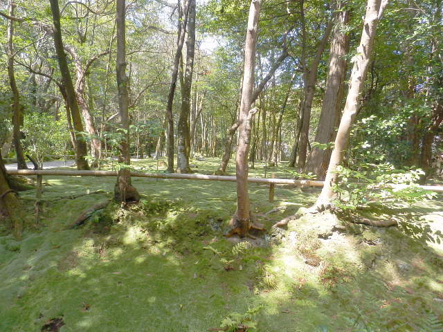 dc0330139.jpg