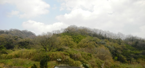 うらうらに春日は照れど・・ (2).JPG