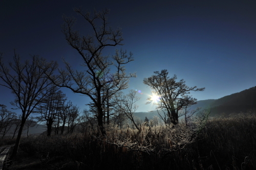 霜と氷の尾瀬ヶ原201311105.jpg