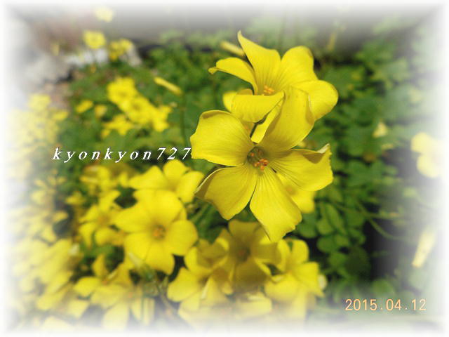 DSCN0708.jpg