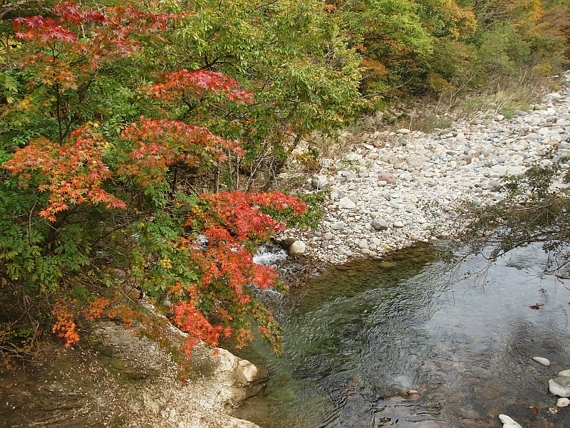 PA229644.JPG