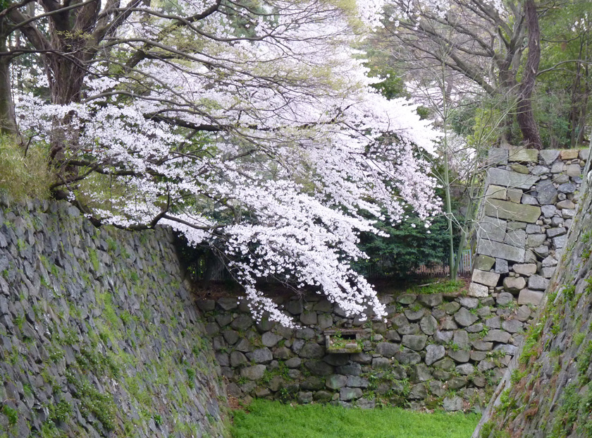 nagoyajyo-w020.jpg