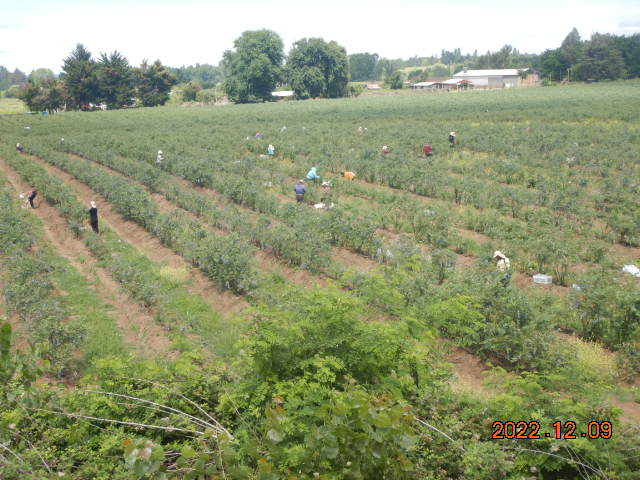 DSCN0404.JPG