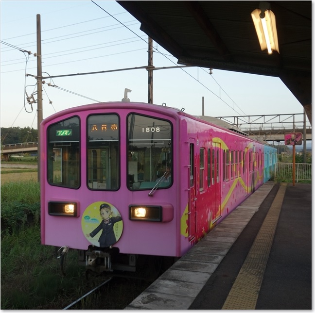 48鉄道むすめ列車