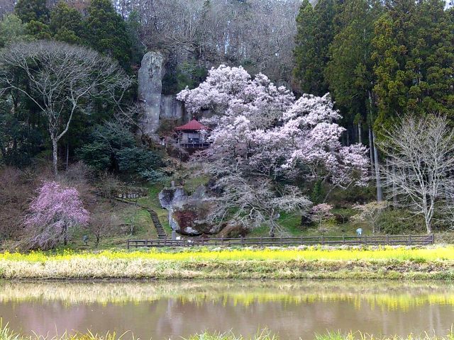 250407iwakannnonn.jpg