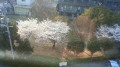 201204081712000.jpg