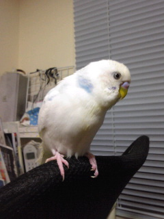 ねる３.jpg