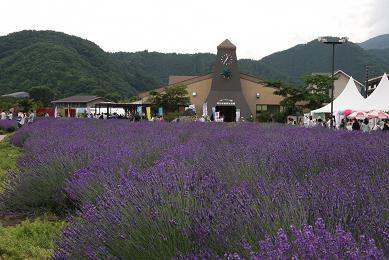 IMG_1165.JPG