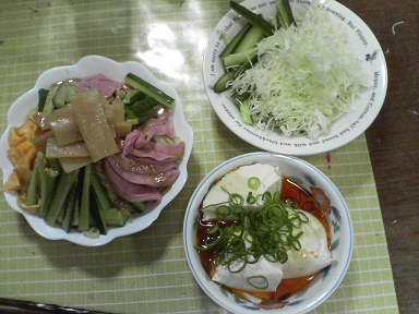 冷やし中華22052601