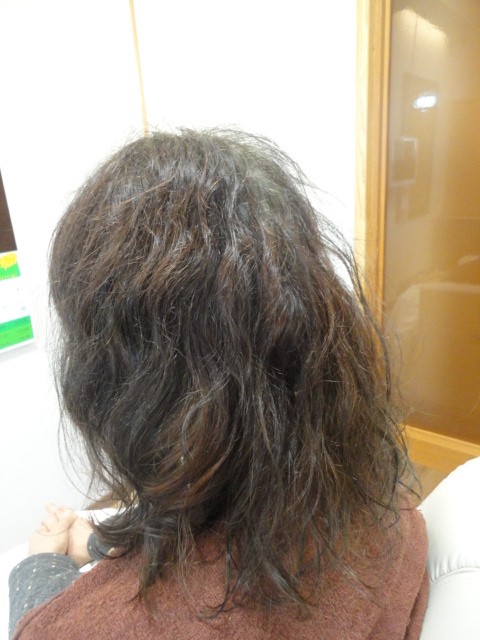 DSC02037.JPG