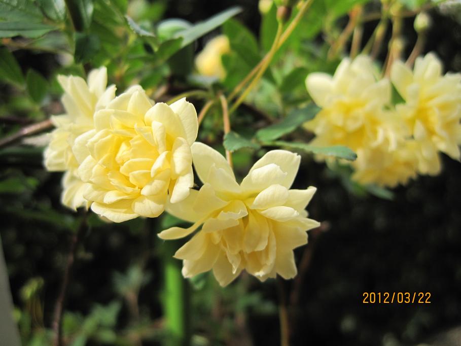 IMG_0702.JPG