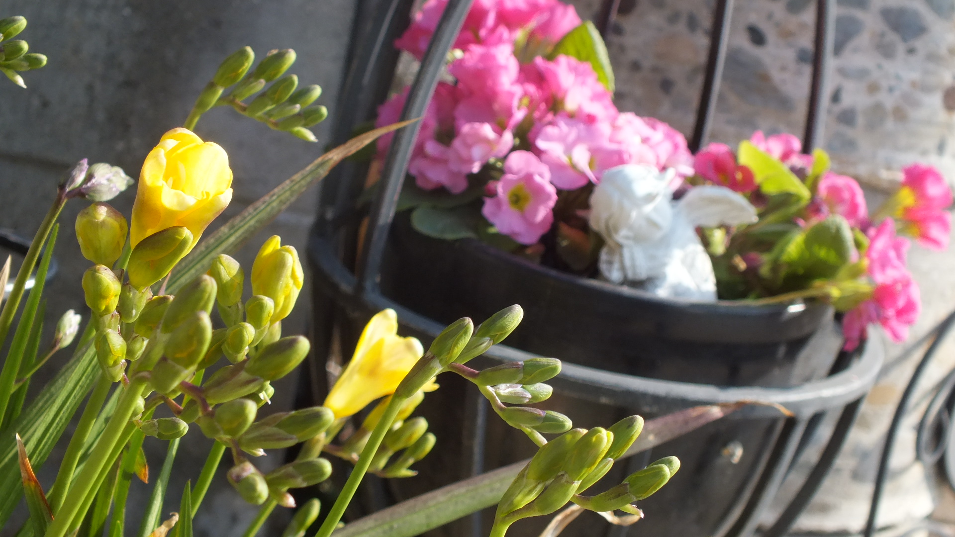 DSCF5849.JPG