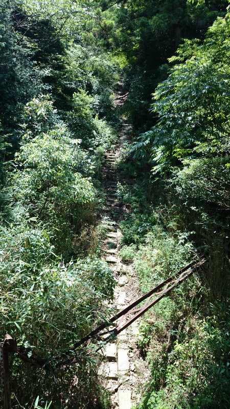 DSC_0886.jpg