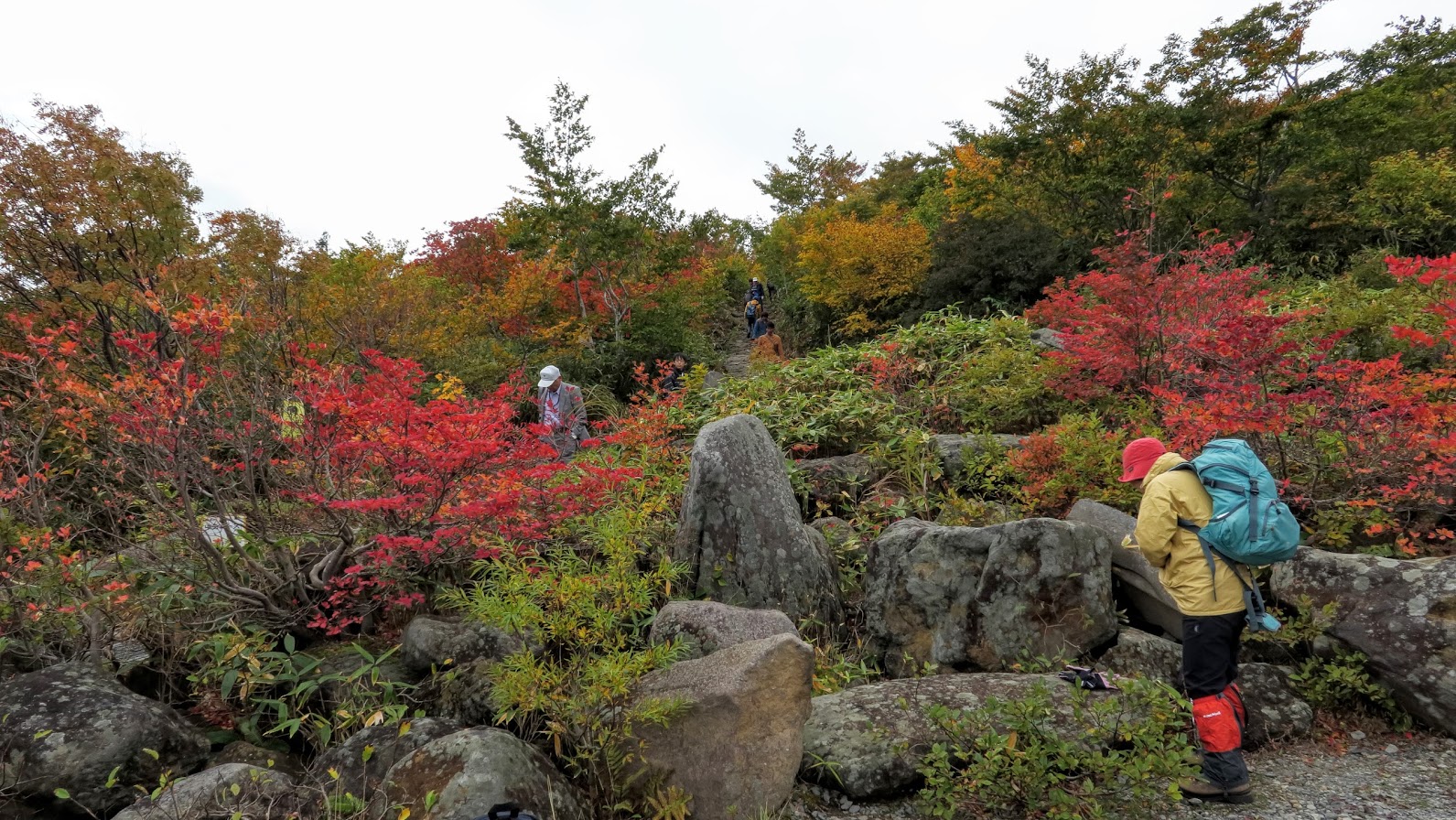 IMG_40832016栗駒山.JPG