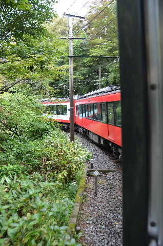 DSC_0742.JPG